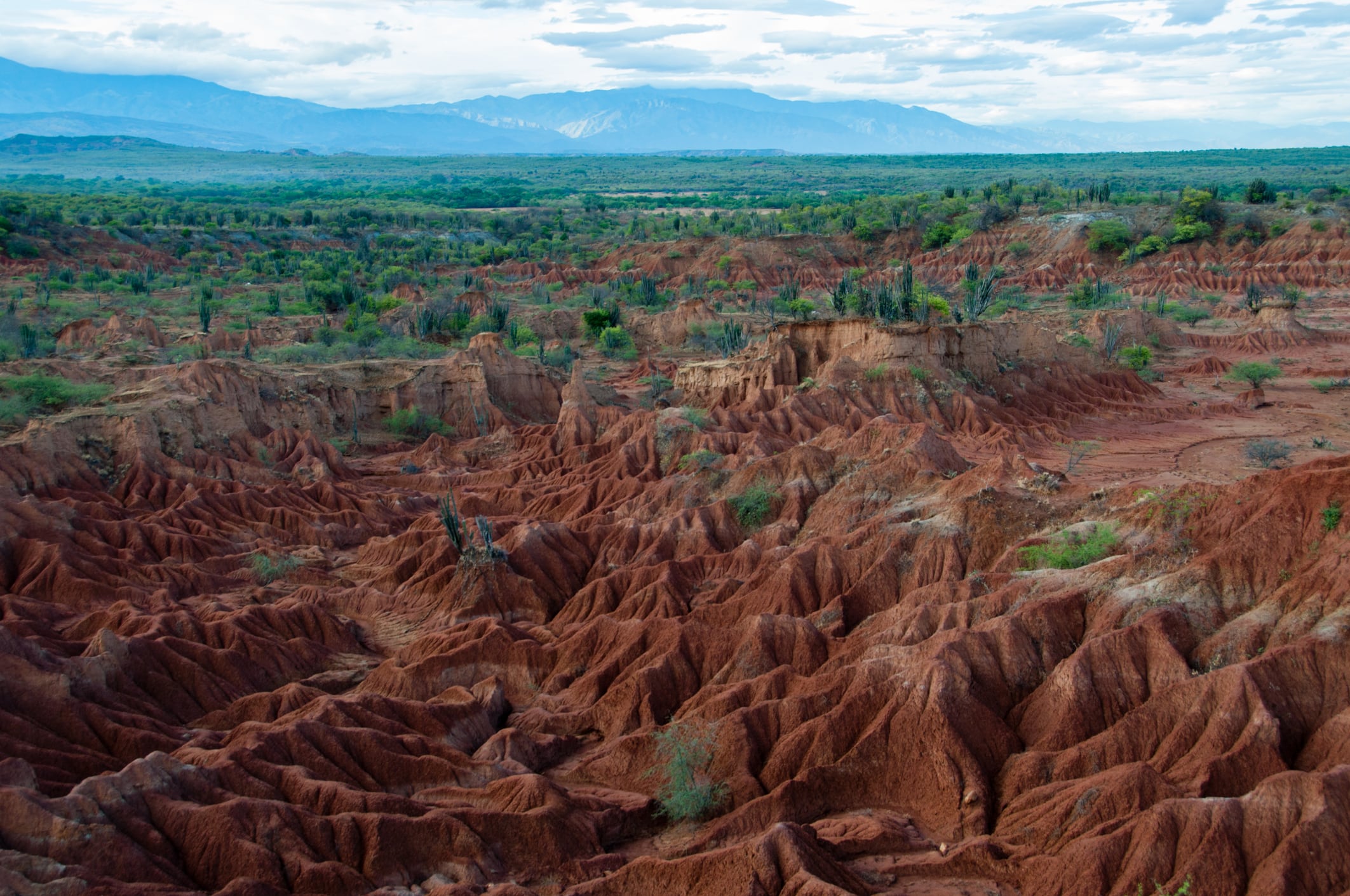 Desierto de la Tatacoa
