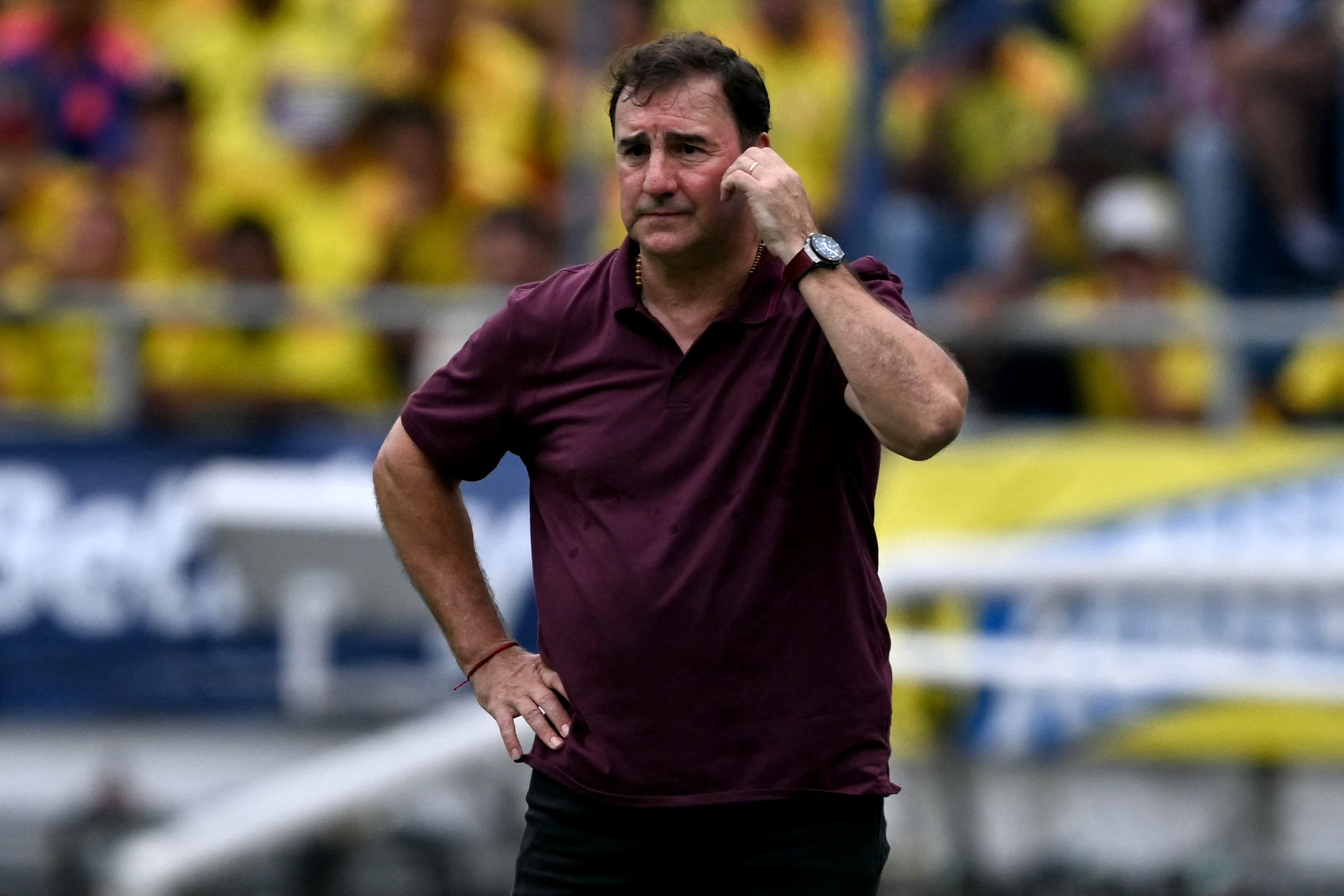Néstor Lorenzo, entrenador de Colombia