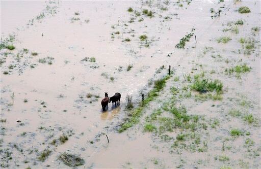 Rockhampton / Las autoridades de Queensland han dicho que la reconstrucción de las viviendas, negocios e infraestructura, además de las pérdidas económicas, podría ascender a unos 5.000 millones de dólares.