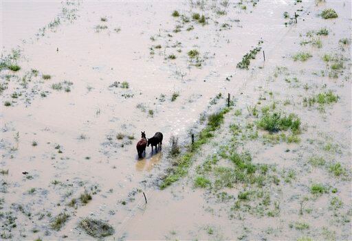 Rockhampton / Las autoridades de Queensland han dicho que la reconstrucción de las viviendas, negocios e infraestructura, además de las pérdidas económicas, podría ascender a unos 5.000 millones de dólares.