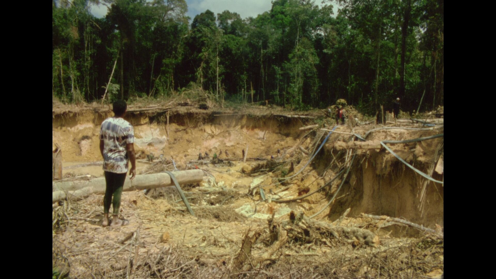 'Morichales' (2024), de Chris Gude.