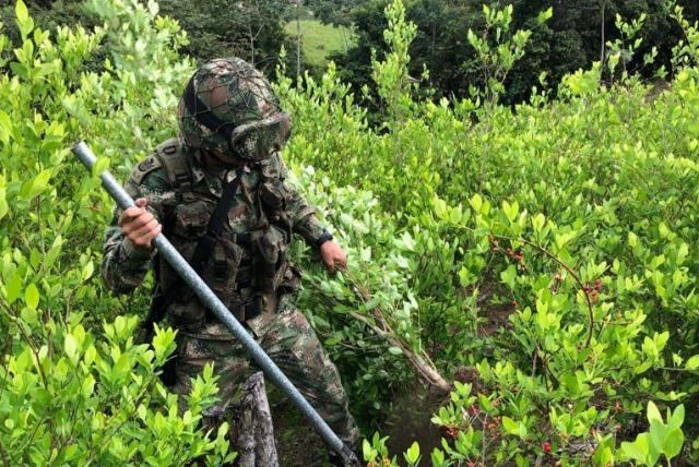 El Batallón de Infantería General Joaquín París Ricaurte, de San José del Guaviare, entre otras cosas, se dedica a la lucha frontal contra el narcotráfico.