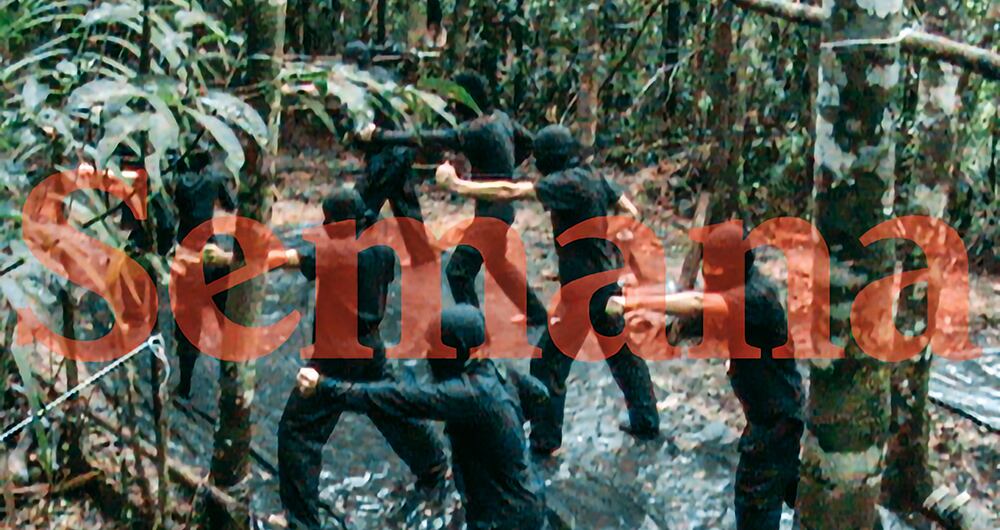 Tienen entrenamientos profesionales.