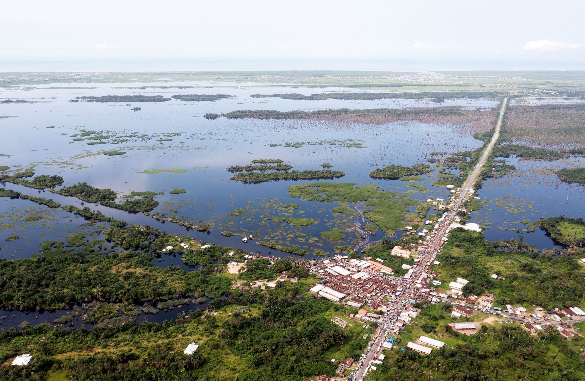 En imágenes : los bosques en extinción de Nigeria