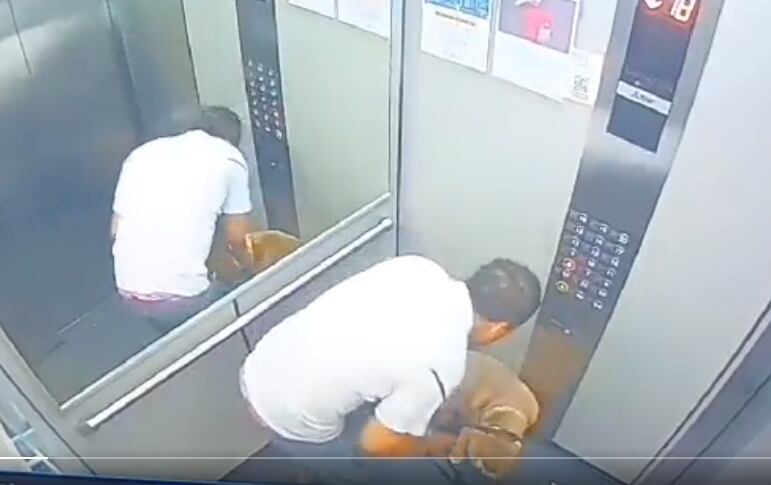 El perro recibió múltiples patadas y golpes con la correa.