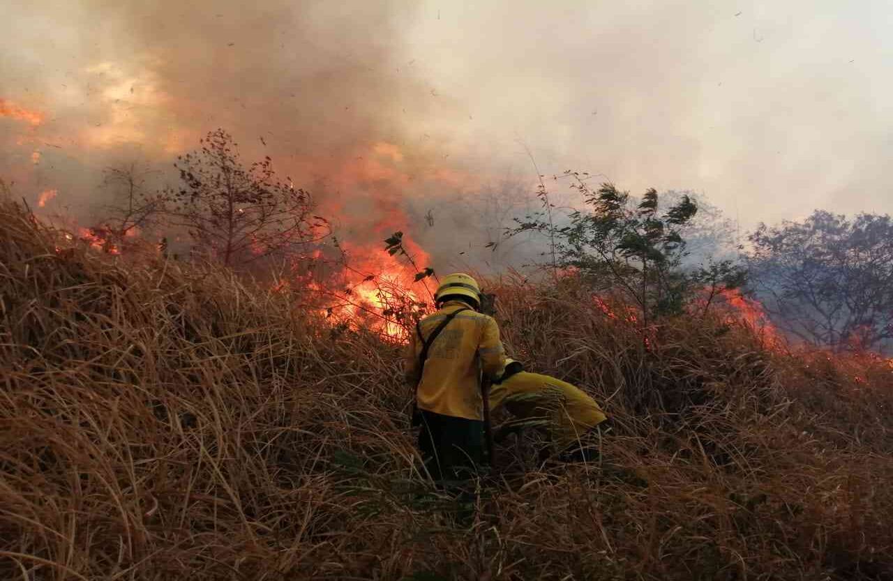 La emergencia demandó la presencia de 142 bomberos, sumados a los voluntarios de la Defensa Civil, Policía y Ejército.