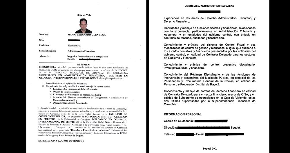 Hola de vida de Mario Olea Vega.