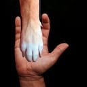 Protección legal de los animales en Colombia: avances y desafíos frente al derecho penal