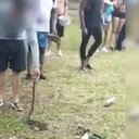 La serpiente apareció entre las piedras del río Pance, y un joven la agarró, luego de ellos se produjo la mordedura.