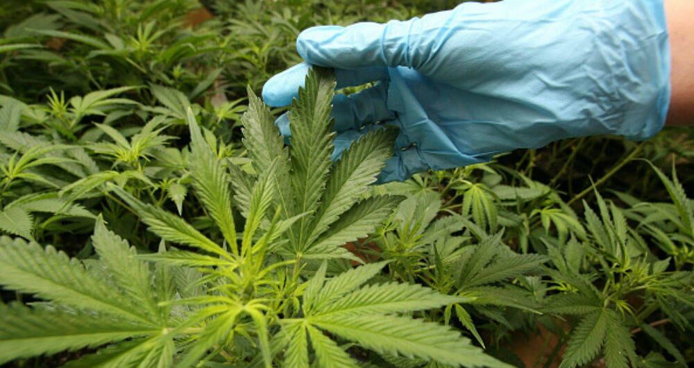 En Estados Unidos ha sido evidente el aumento de las consultas a urgencias por infartos del miocardio y efectos adversos asociados al uso de esta droga. 