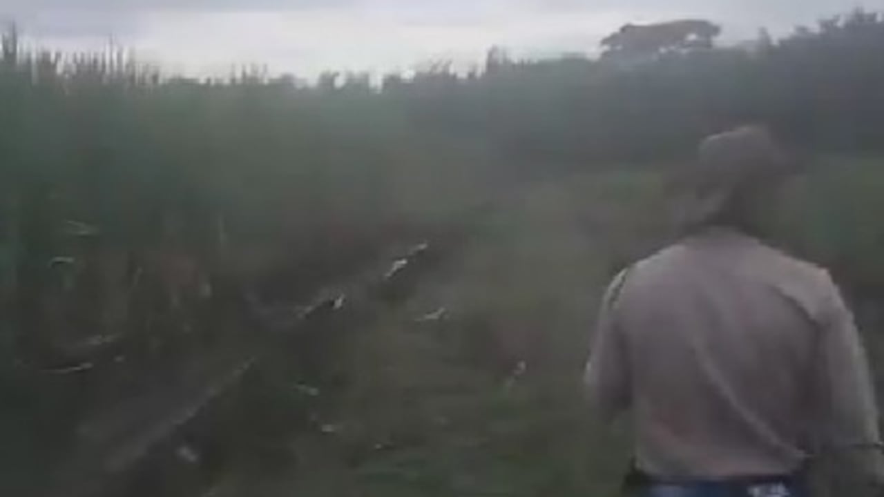 Al parecer, indígenas son los que han llegado hasta los predios de cultivos de caña reclamando que son terrenos milenarios que les pertenecen.