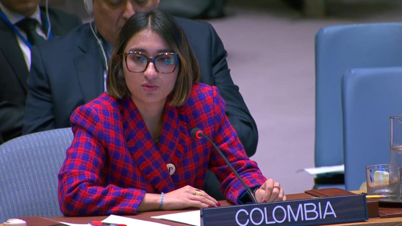 La canciller Laura Sarabia presentó el informe en la ONU.