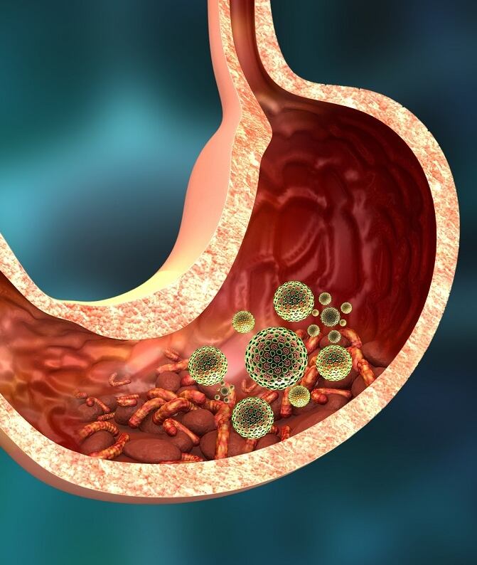 Parásitos intestinales