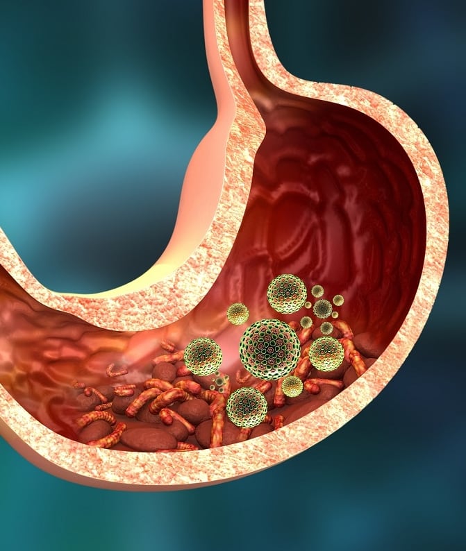 Parásitos intestinales