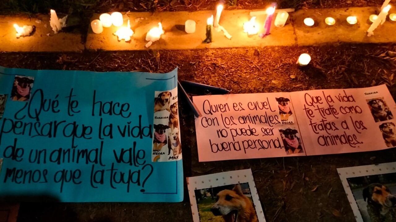 Habitantes de Madrid, Cundinamarca, están indignados por la muerte de cuatro perros. Se realizó una velatón.