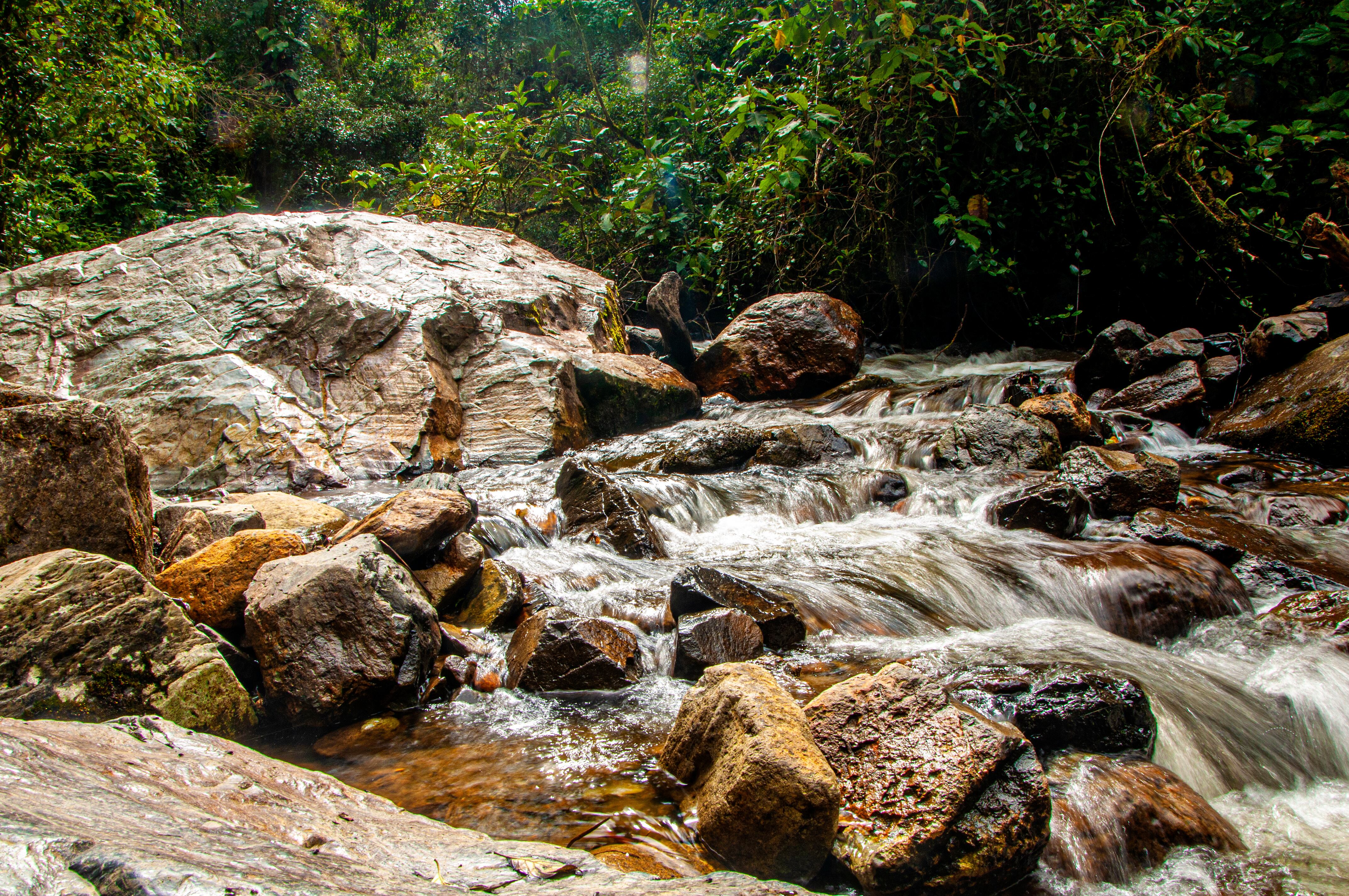 Recomendaciones para visitar el Valle del Cocora, una joya natural del Eje Cafetero