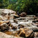 El Valle de Cocora es un paisaje natural ubicado en la cordillera central de los Andes colombianos, específicamente en el departamento de Quindío, en el área de influencia del Parque Nacional Natural Los Nevados.
