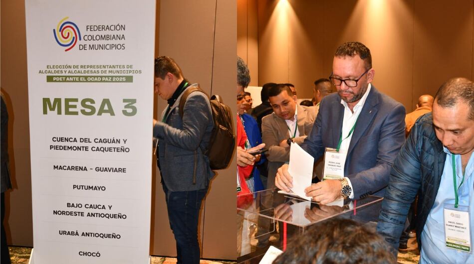 Elección de representante de alcalde Pdet al Ocad Paz.