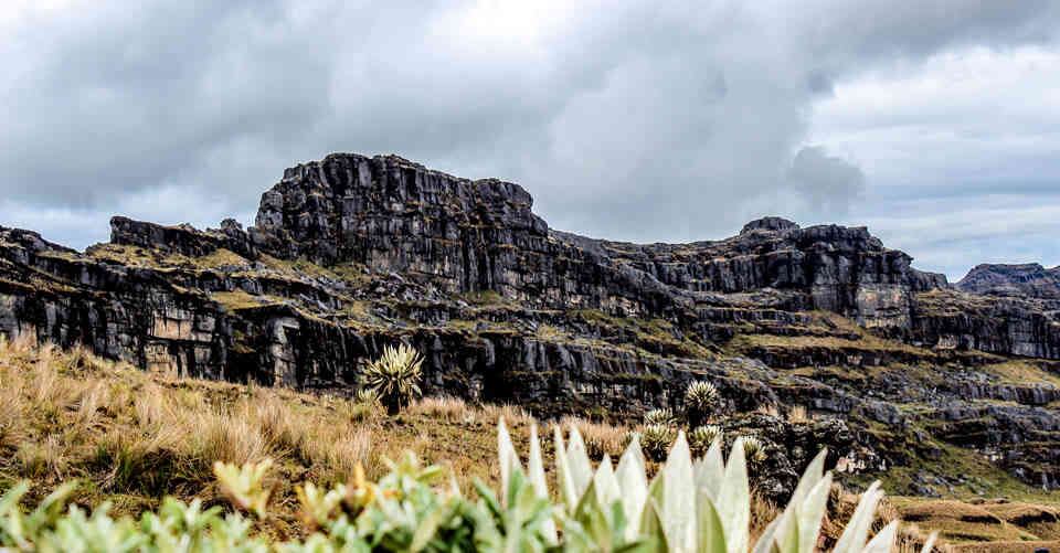 El Páramo de Pisba es un lugar natural para visitar en Boyacá. 