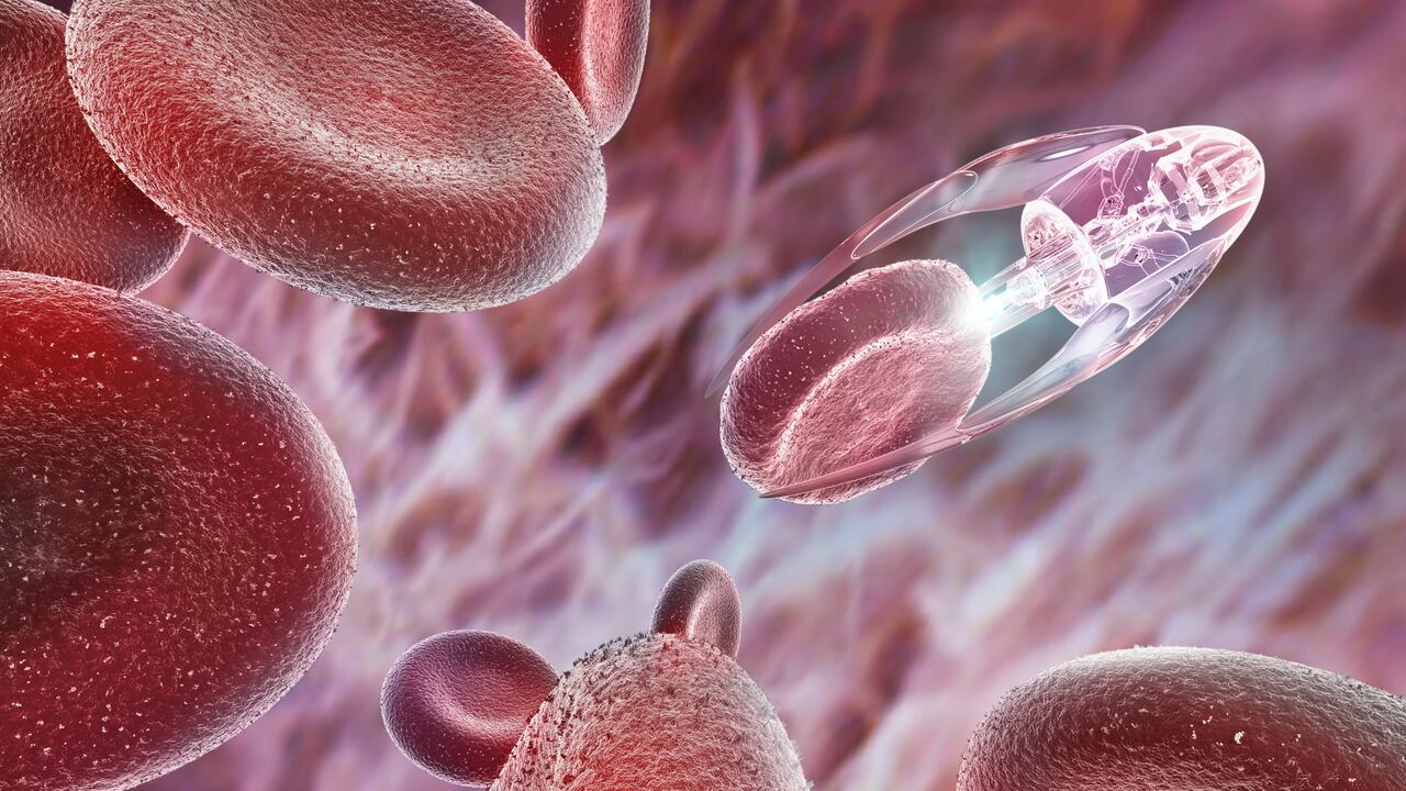 La sangre está compuesta de glóbulos rojos, glóbulos blancos y plaquetas.