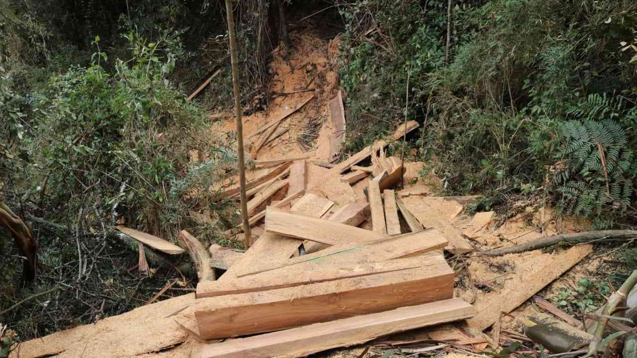 El operativo se realizó en municipios de Cundinamarca y Boyacá. Foto: Archivo Semana