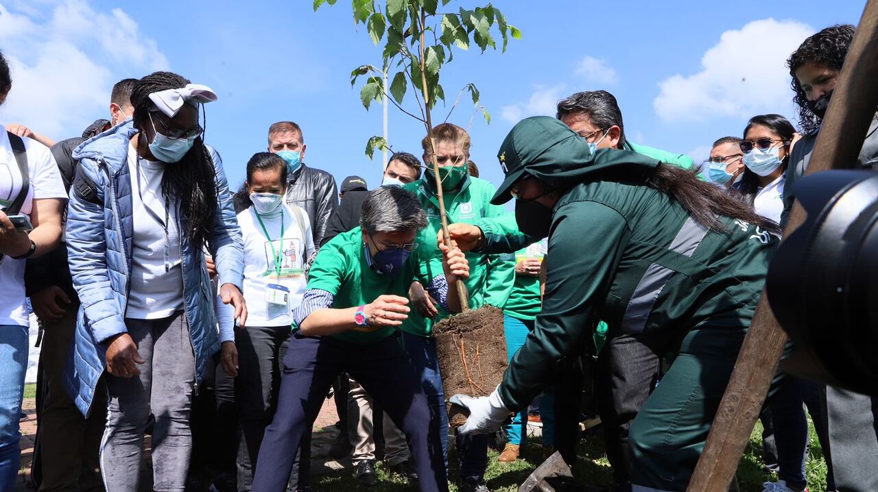 Claudia López, alcaldesa de Bogotá, explicó que el objetivo es plantar 1 millón de árboles en los próximos cuatro años en la ciudad.
