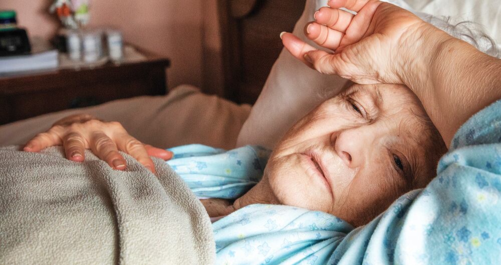 El término cardiovascular se refiere al corazón (cardio) y a los vasos sanguíneos (vascular). El sistema cardiovascular comprende: Las arterias. Las arteriolas.