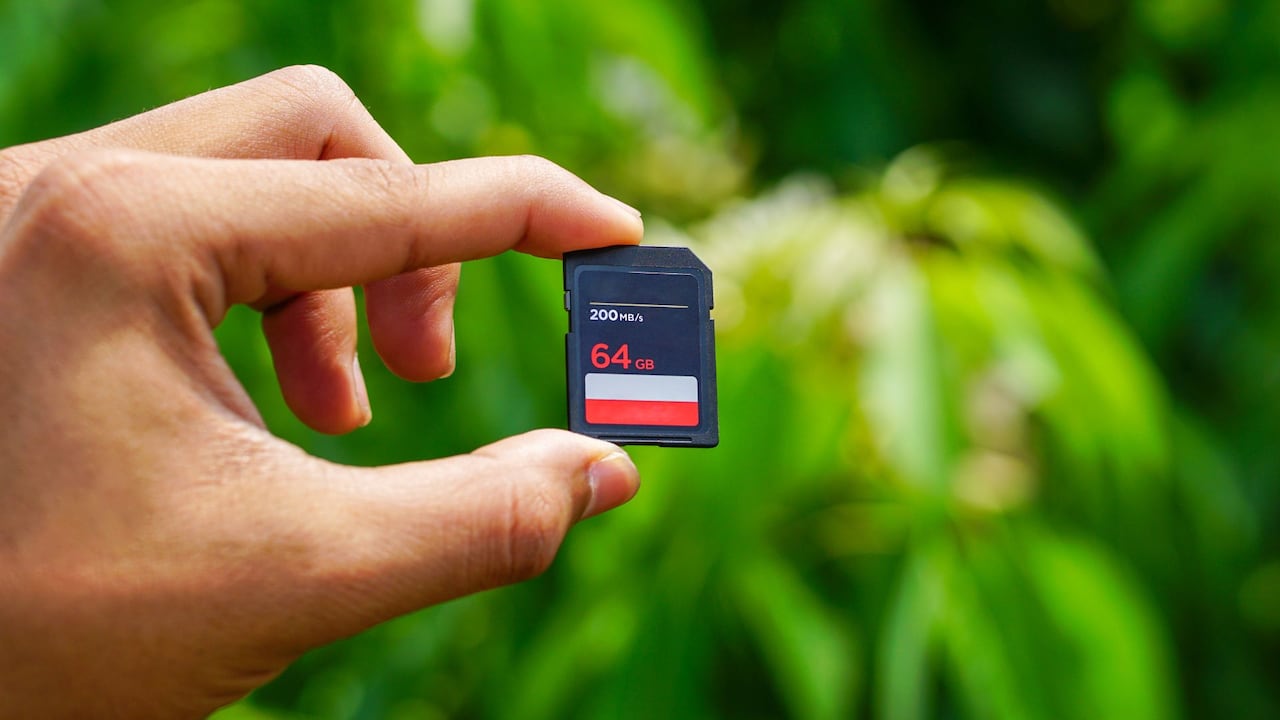 Este tipo de memorias son ideales para usuarios comunes que necesitan ampliar la capacidad de sus teléfonos o tabletas.