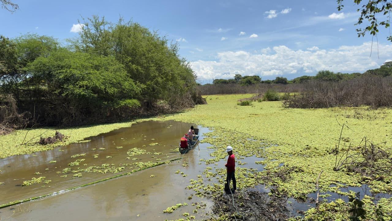 La CVC hizo una inversión millonaria para recuperar el humedal Cañasgordas con el fin de hacerlo un lugar de tránsito libre.