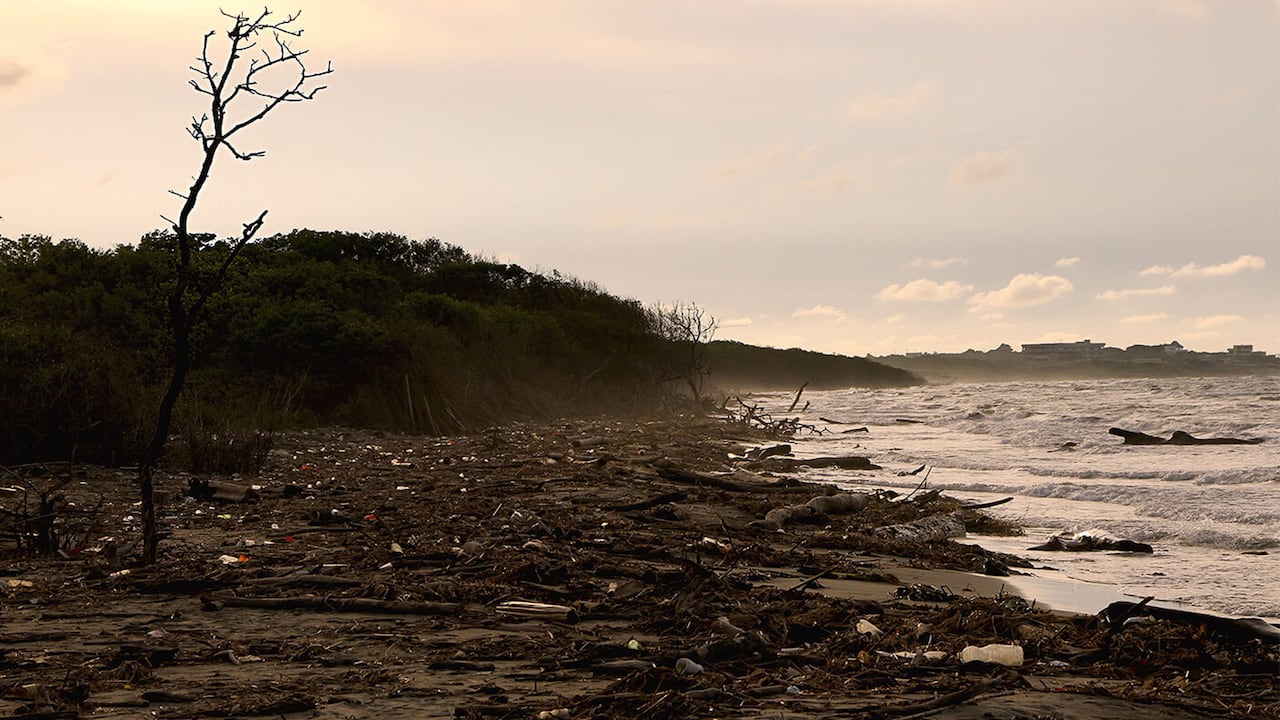 Así se ve la ciénaga de Mallorquín en la actualidad: basuras, sin árboles y poca vegetación.