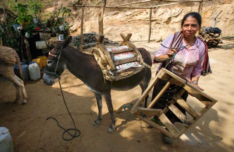 Foto: Carlos Julio Martínez-Semana