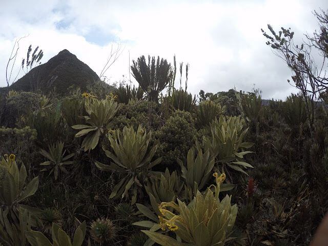 Parque Natural Regional Páramo del Duende