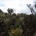 El Consejo Directivo de la CVC amplió la extensión del Parque Natural Regional Páramo del Duende que pasa de 14.543 a 18.127 hectáreas.