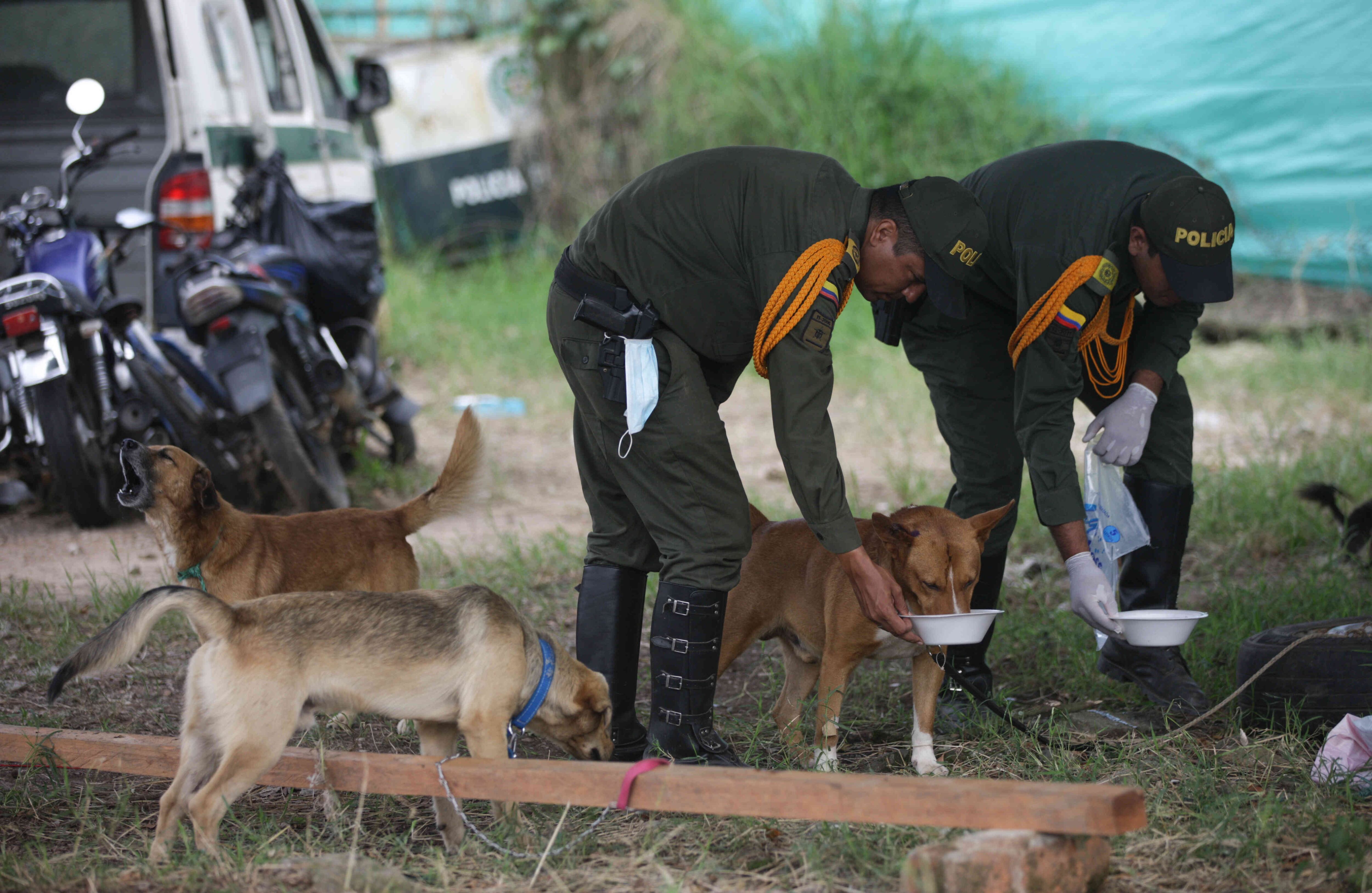 Policías de Carabineros dan alimento a mascotas rescatadas de la zona de tragedia, el miércoles 5 de abril de 2017, en un refugio provisional en Mocoa, Putumayo, luego de que una avalancha de lodo y piedra —la noche del 31 de marzo— provocada por el desbordamiento de los ríos Mocoa, Mulato y Sangoyaco, matara a por lo menos 301 personas y dejara un número indeterminado de desaparecidos. Foto: Carlos Julio Martínez / SEMANA