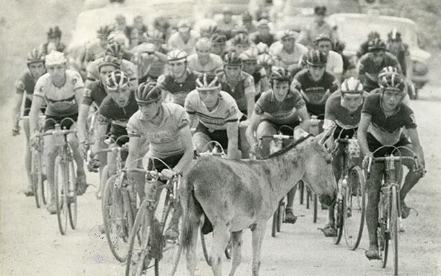 Escarabajos: un país descubierto a pedalazos