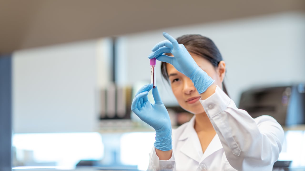 Existen diversos tipos de cáncer en la sangre. Imagen de referencia.