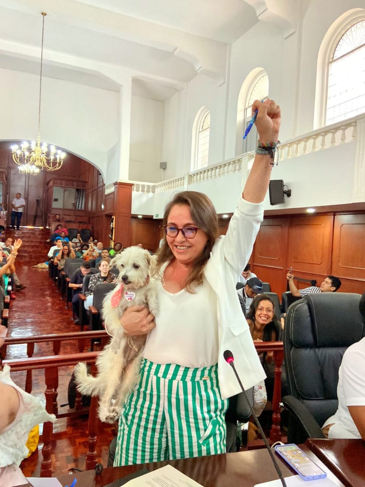 Política Pública de Protección y Bienestar Animal fue aprobada en el Valle del Cauca.