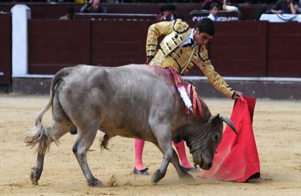 Mateo Jaramillo, de Manizales, pero alumno de la Escuela de Cali, fue el máximo triunfador de la temporada. Cortó orejas el 7 de agosto y repitió triunfo el 13 de agosto. 