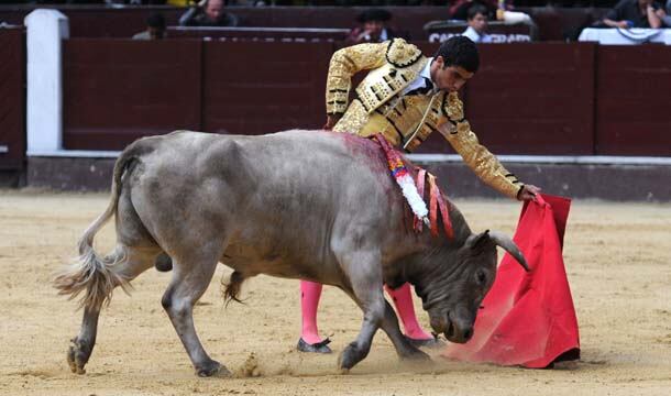 Mateo Jaramillo, de Manizales, pero alumno de la Escuela de Cali, fue el máximo triunfador de la temporada. Cortó orejas el 7 de agosto y repitió triunfo el 13 de agosto. 