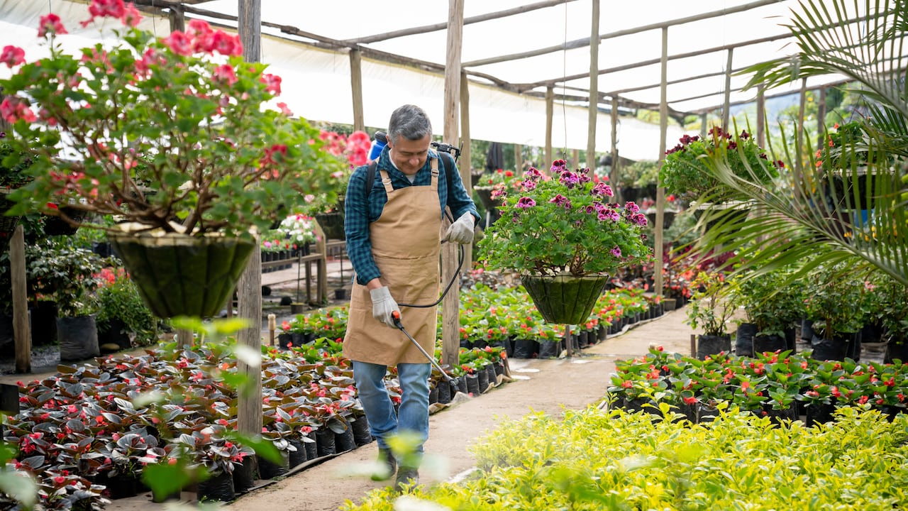 Es muy común que algunas plagas lleguen y se queden en los jardines o huertos.