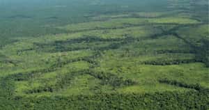 La deforestación para la extensión ganadera en la Sierra de La Macarena ha aumentado notoriamente en los últimos tres años. Foto: Rodrigo Botero.