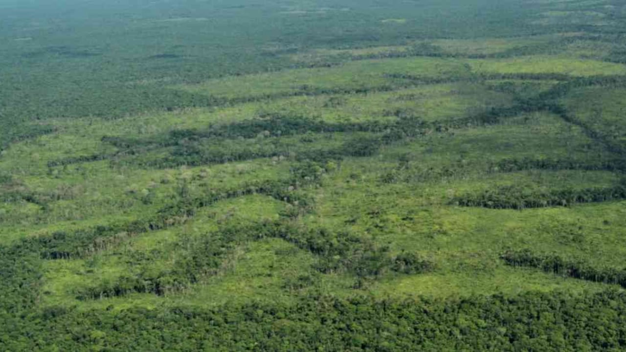 La deforestación para la extensión ganadera en la Sierra de La Macarena ha aumentado notoriamente en los últimos tres años. Foto: Rodrigo Botero.
