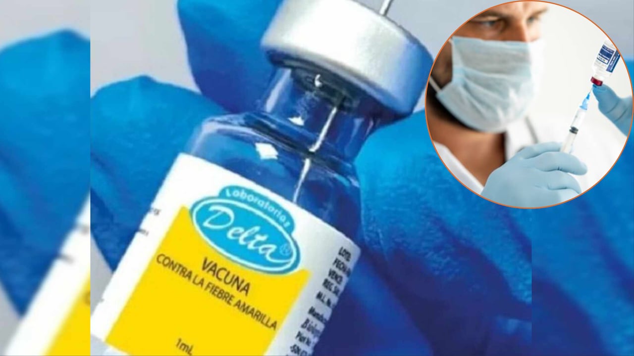 Piden reforzar vacunación contra la fiebre amarilla y el sarampión.