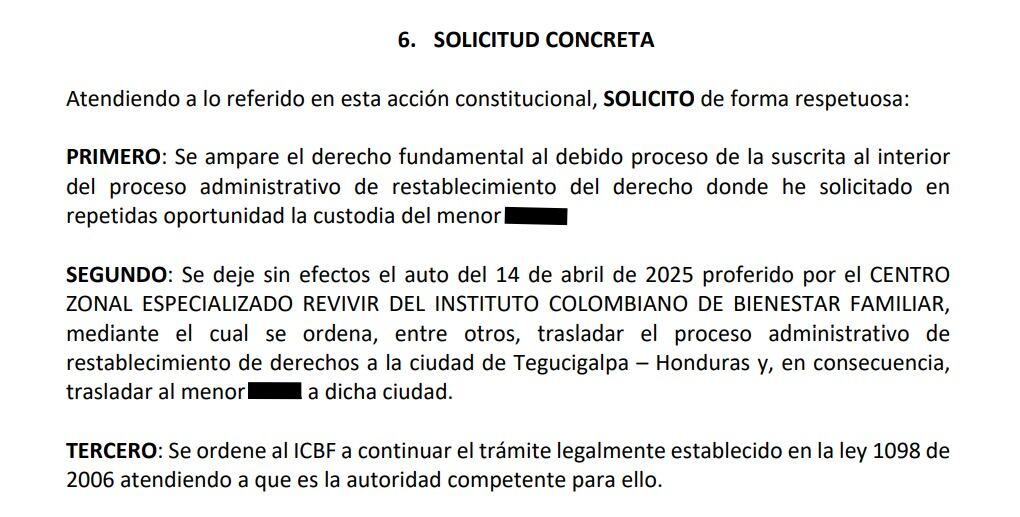 A través de una acción de tutela, la familia materna del menor pide que se mantenga el proceso de reestablecimiento de derechos en Colombia.