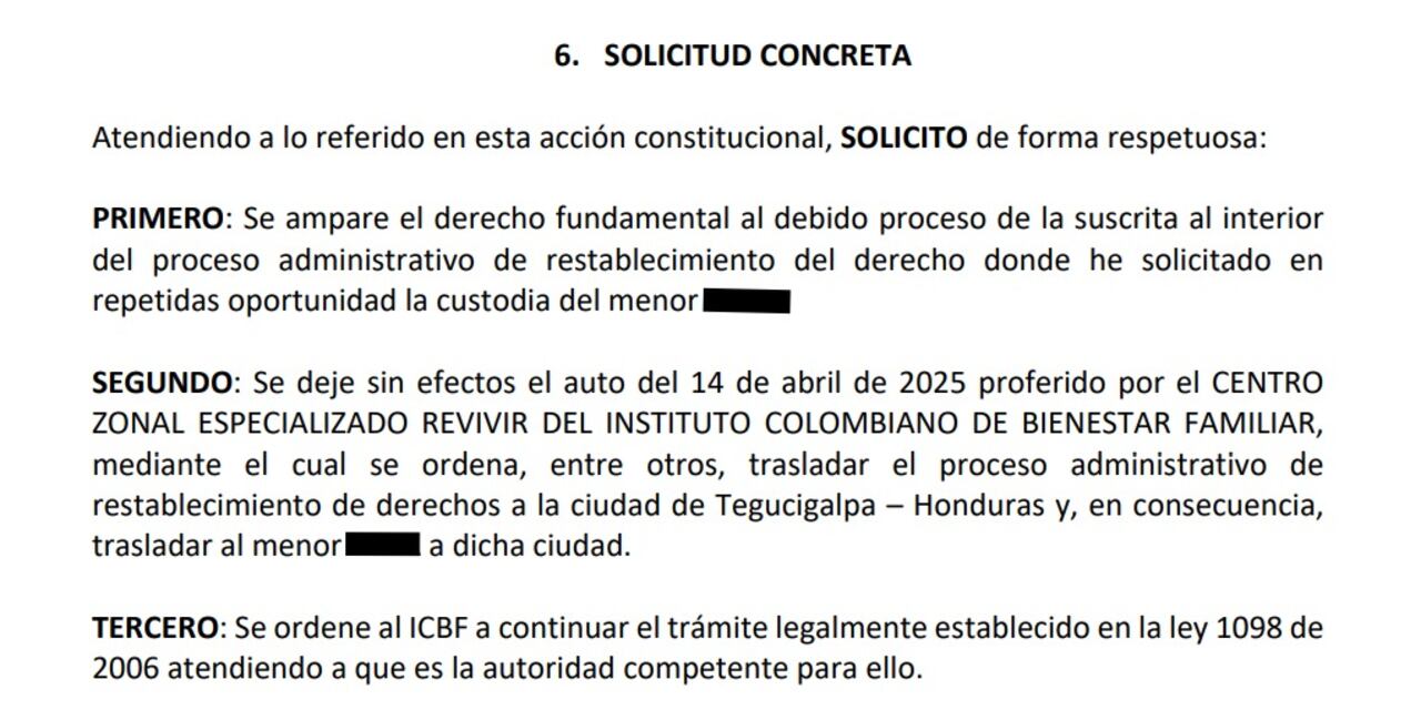 A través de una acción de tutela, la familia materna del menor pide que se mantenga el proceso de reestablecimiento de derechos en Colombia.