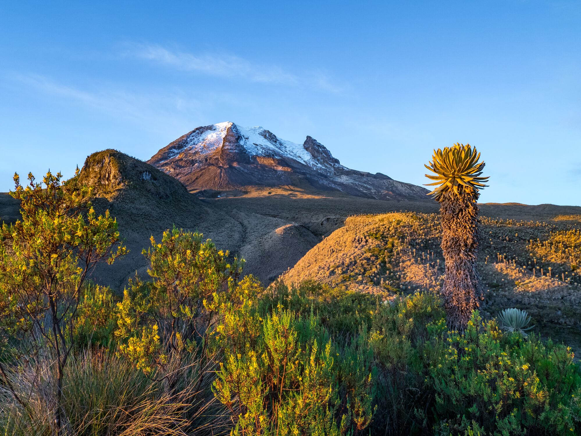 Nevado del Tolima