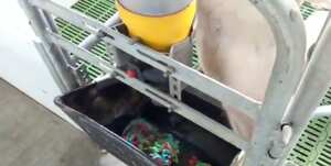 Imagen tomada de la cuenta de Twitter del representande a la Cámara, Juan Espinal.