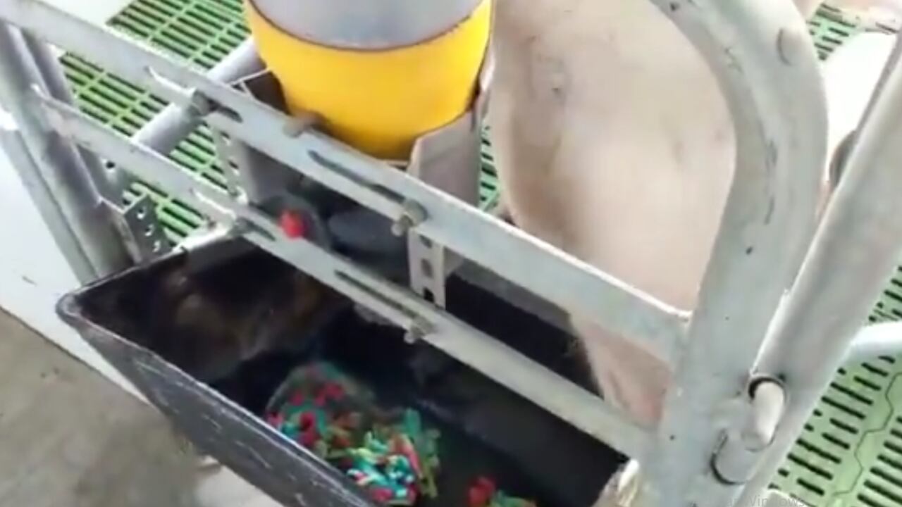 Imagen tomada de la cuenta de Twitter del representande a la Cámara, Juan Espinal.