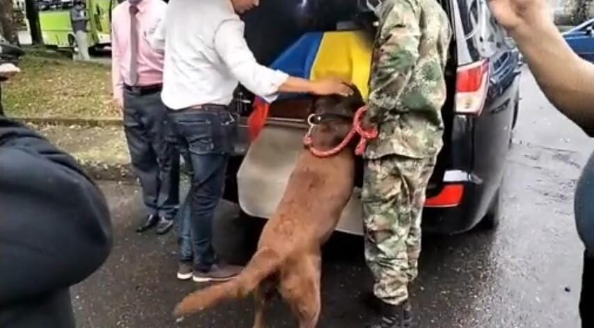 La conmovedora imagen de perro que acompañó a soldado hasta el cementerio