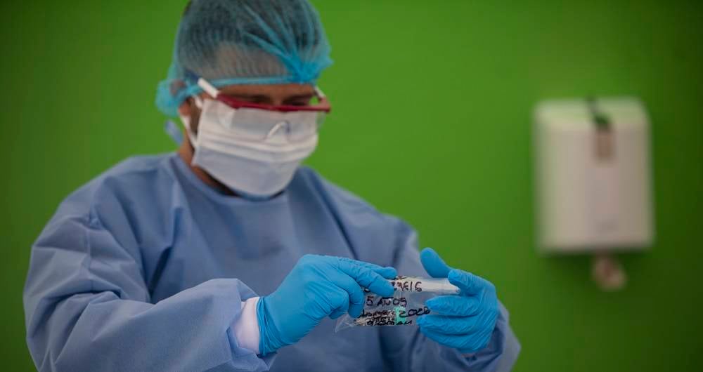 Origen del covid sigue siendo incierto, un año después de causar la primera muerte.